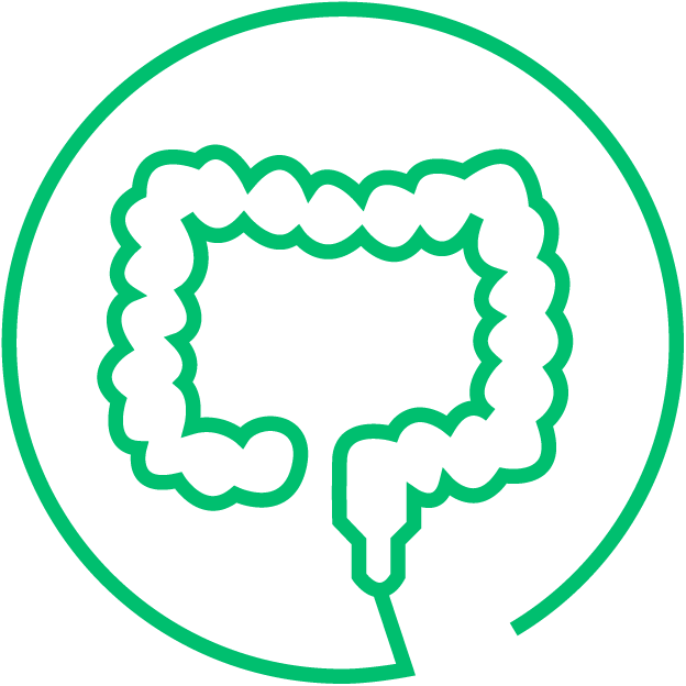 Gastrointestinal cancer icon