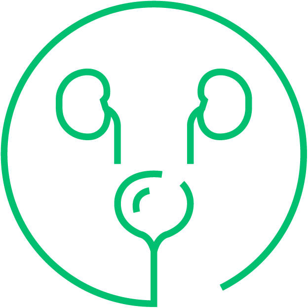 Genitourinary cancer icon