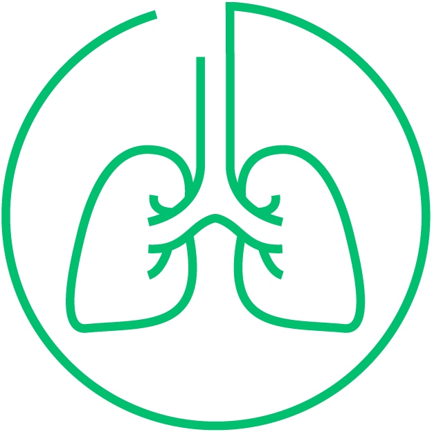 Lung cancer icon