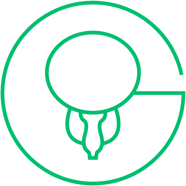 Prostate cancer icon